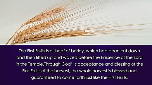 The Baptism in the Holy Spirit (4): The first Ascension of Christ (1)