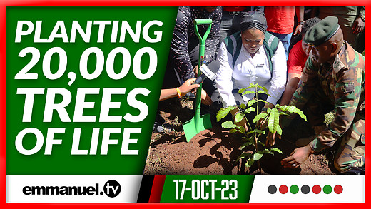 PASTOR EVELYN JOSHUA'S TREE PLANTING INITIATIVE IN KENYA