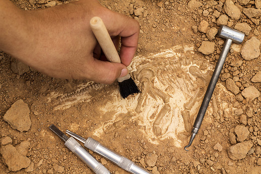 "Digging Up The Past"