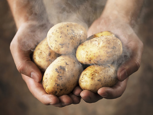 More Hot Potatoes: What Do Mormons Believe?