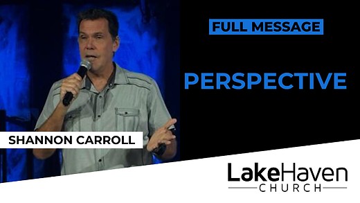 Perspective - Shannon Carroll