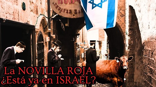 La Novilla Roja | Verdades y Mitos