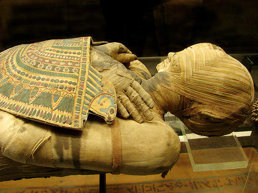 "The Missing Mummy"