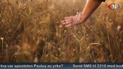 Midt På Dagen 23.05.2024