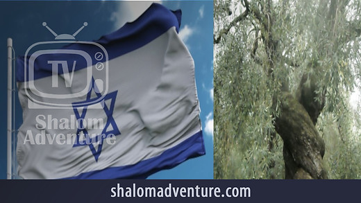 Genesis 42 Who Is Israel