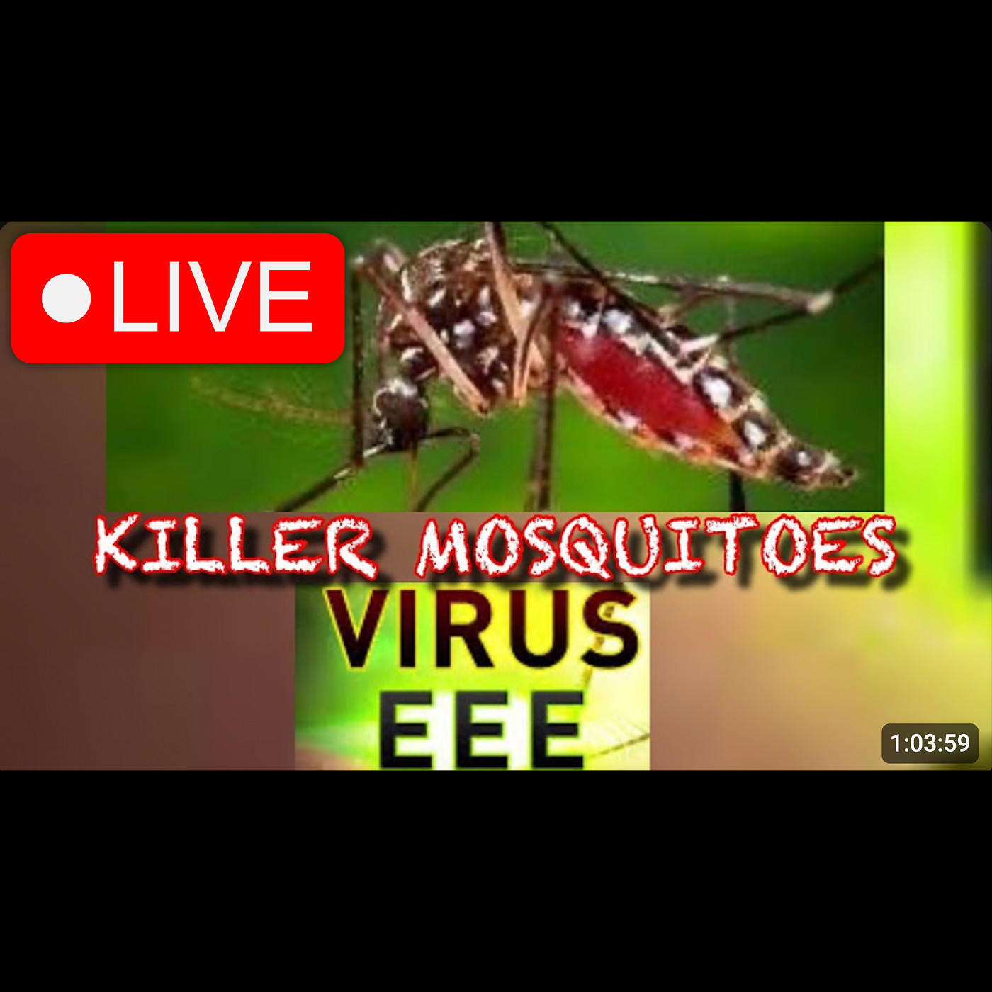 America's Civil War. Arresting Christians. EEE Virus Lockdowns! David Heavener/Mike Spaulding LIVE