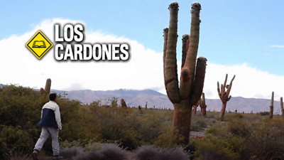 Una Palabra en el Camino - T1 E2 «Los Cardones»