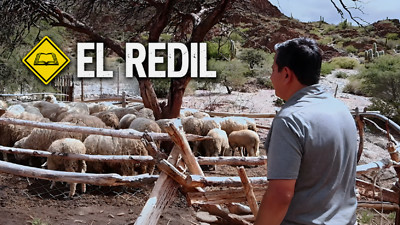 Una Palabra en el Camino - T1 E3 «El Redil»