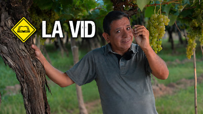 Una Palabra en el Camino - T1 E4 «La Vid»
