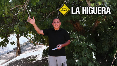 Una Palabra en el Camino - T1 E5 «La Higuera»
