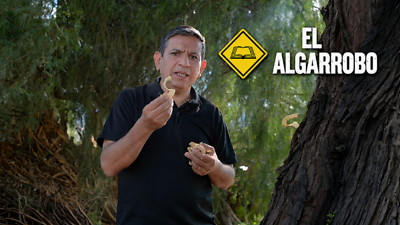 Una Palabra en el Camino - T1 E6 «El Algarrobo»