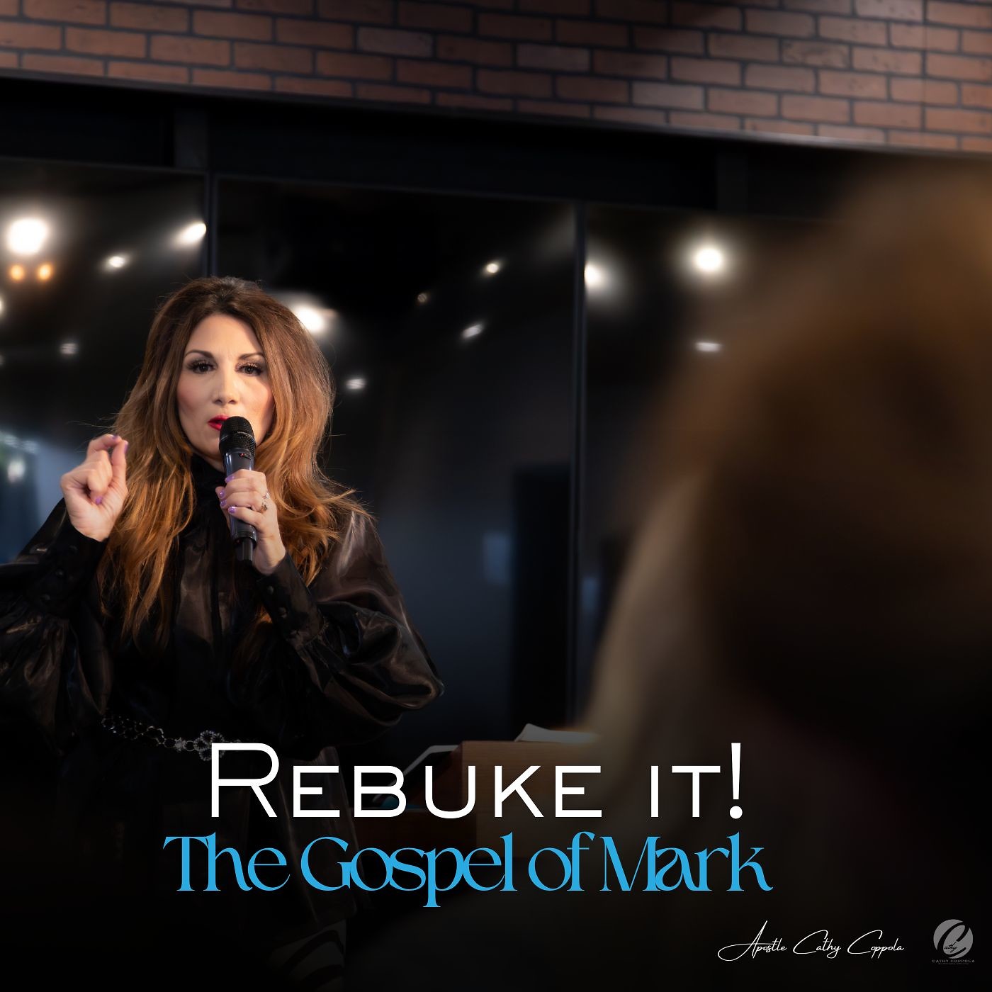 Rebuke It! The Gospel of Mark Series episode artwork