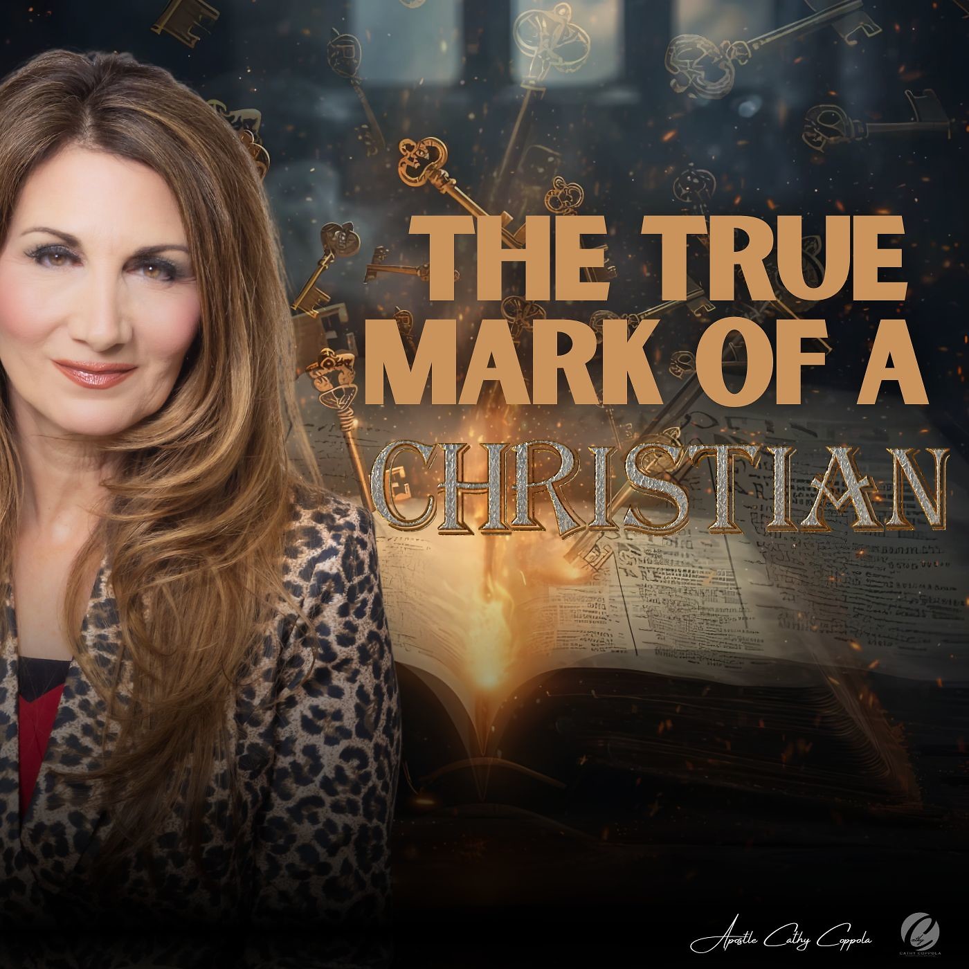 The True Mark of a Christian episode artwork