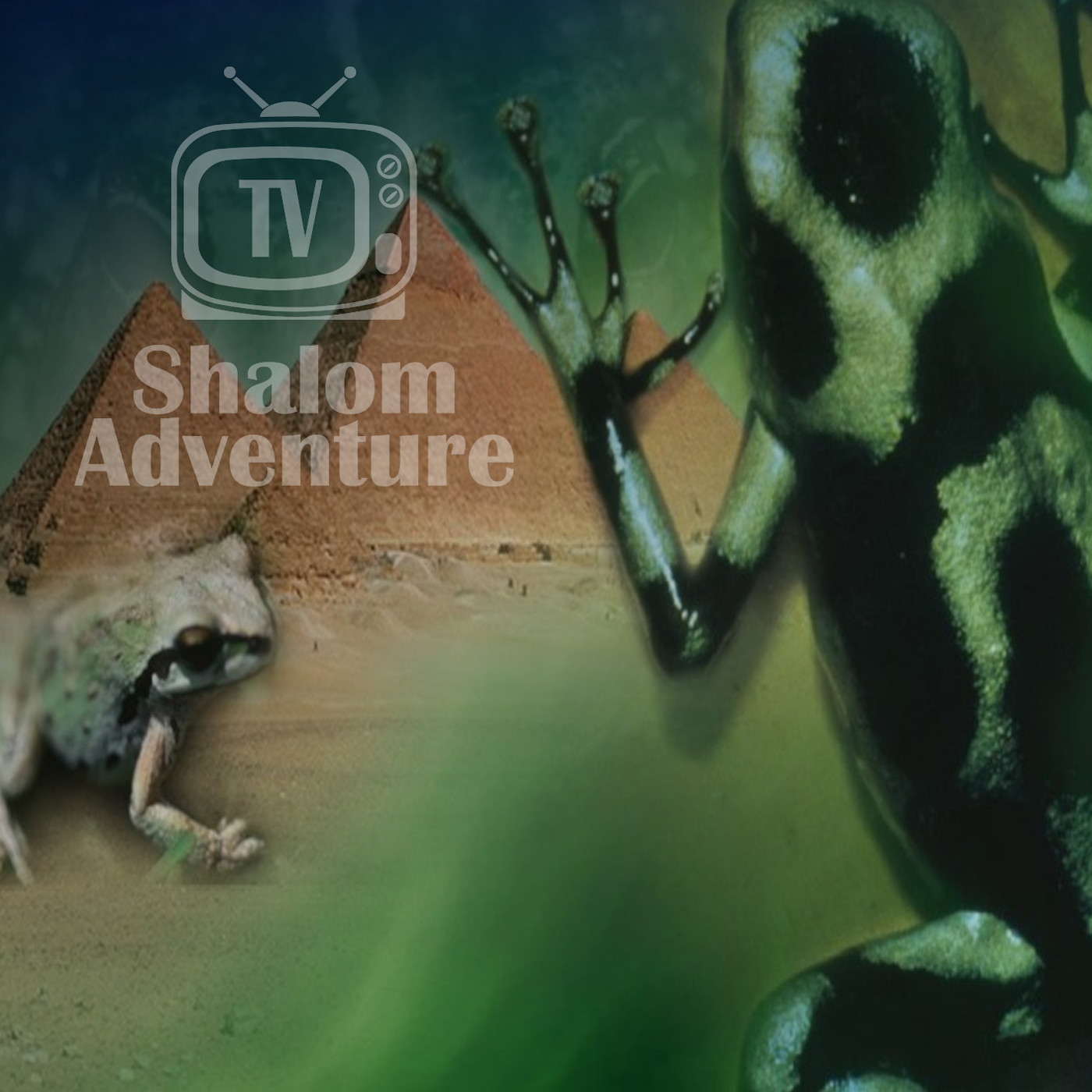 Exodus 8 The Second Plague - Frogs