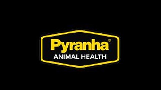 Live the Pyranha Life!  Available at your Favorite Retailer episode artwork