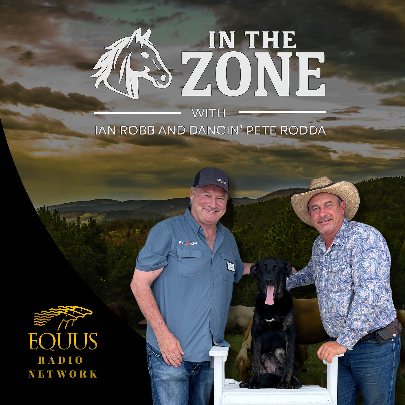 In The Zone with Ian Robb & Dancin' Pete Rodda-Special Guest Dr. Joshua Berka episode artwork