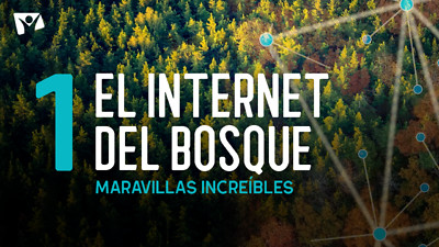 Maravillas Increíbles - E1 «El internet del bosque»