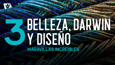 Maravillas Increíbles - E3 «Belleza, Darwin y diseño»