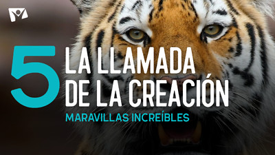Maravillas Increíbles - E5 «La llamada de la creación»