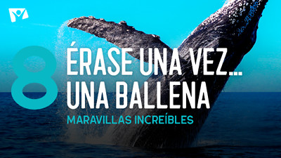 Maravillas Increíbles - E8 «Érase una vez... Una ballena»