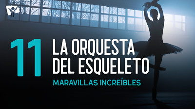 Maravillas Increíbles - E11 «La orquesta del esqueleto»