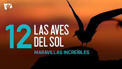 Maravillas Increíbles - E12 «Las aves del Sol»