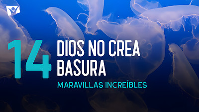 Maravillas Increíbles - E14 «Dios no crea basura»