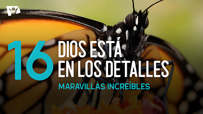 Maravillas Increíbles - E16 «Dios está en los detalles»