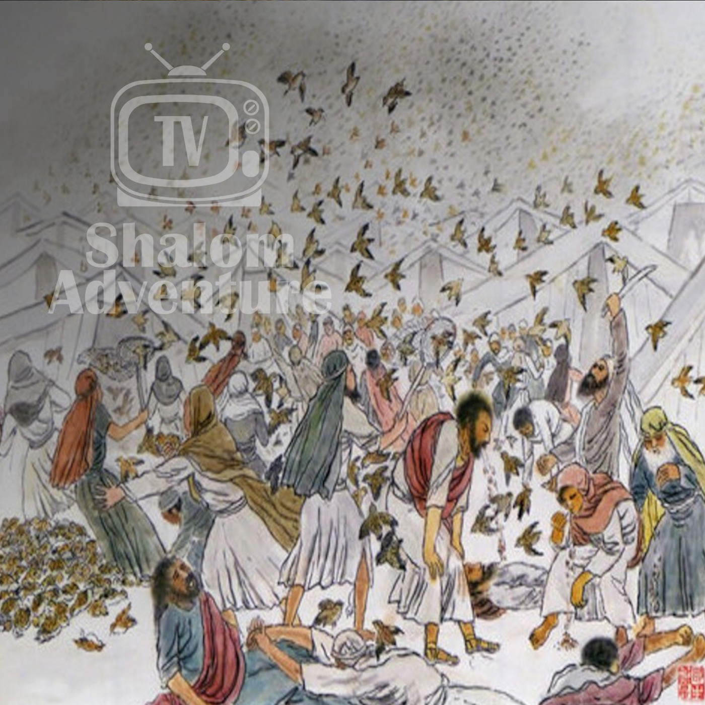 Numbers 11 Test of A Prophet