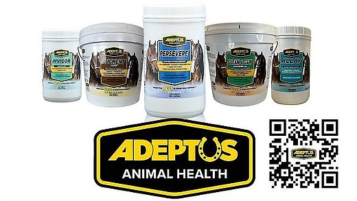 Adeptus Equine Nutritional Supplements episode artwork