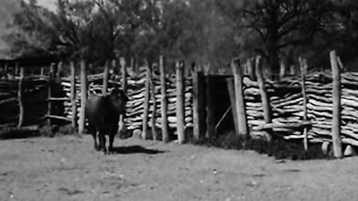 El Toron Pt  1 - DestiNation Series Ep 4 El Toron Pt  1 - DestiNation Series Ep 4