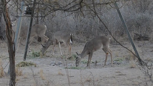 Texas Southwest Pt 1 Texas Southwest Pt 1