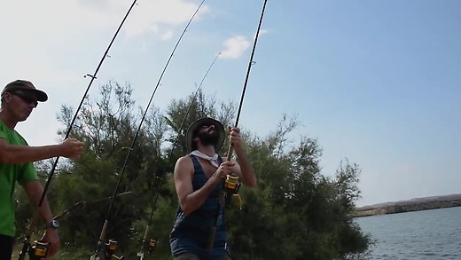 Big Cat Safaris Pt 3 Big Cat Safaris Pt 3