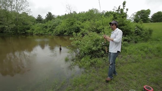 Big Cat Safaris Pt  2 Big Cat Safaris Pt  2