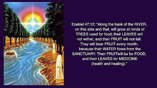 The Temples of God (14): The River of Life