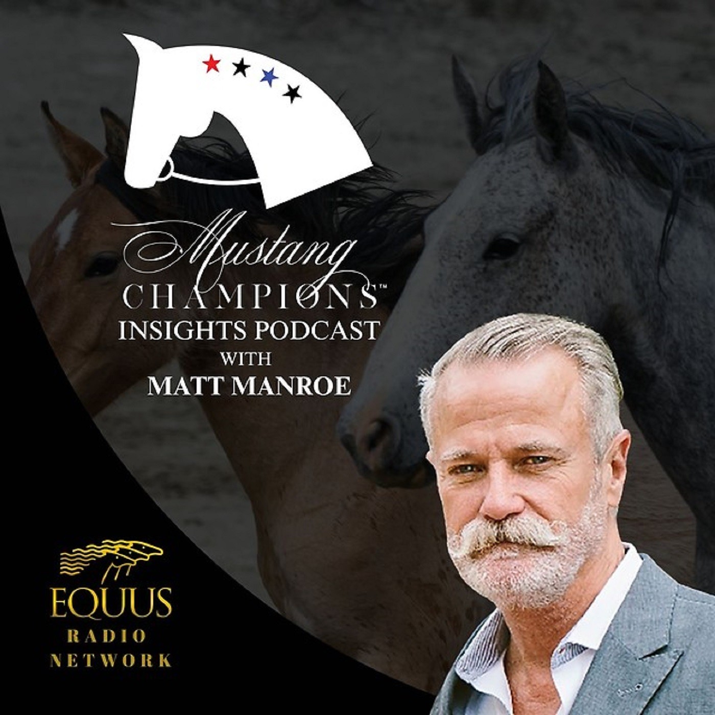 Mustang Champions Insights Podcast - Matt Manroe interview with Special Guest  Patti Gruber episode artwork