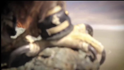 Falconer 2 part 2 Falconer 2 part 2