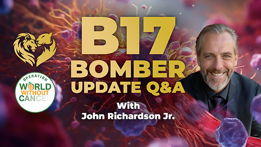 B17 Bomber: News Weekly Q&A Update