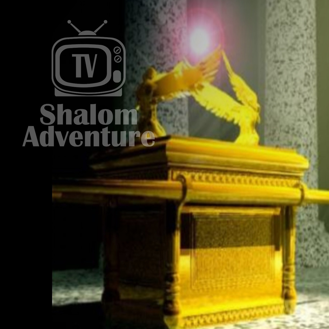 2 Chronicles 5, 1Kings 8 Solomon Brings the Ark into the Temple