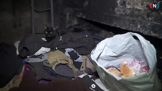 TV Visjon Norge (audio)