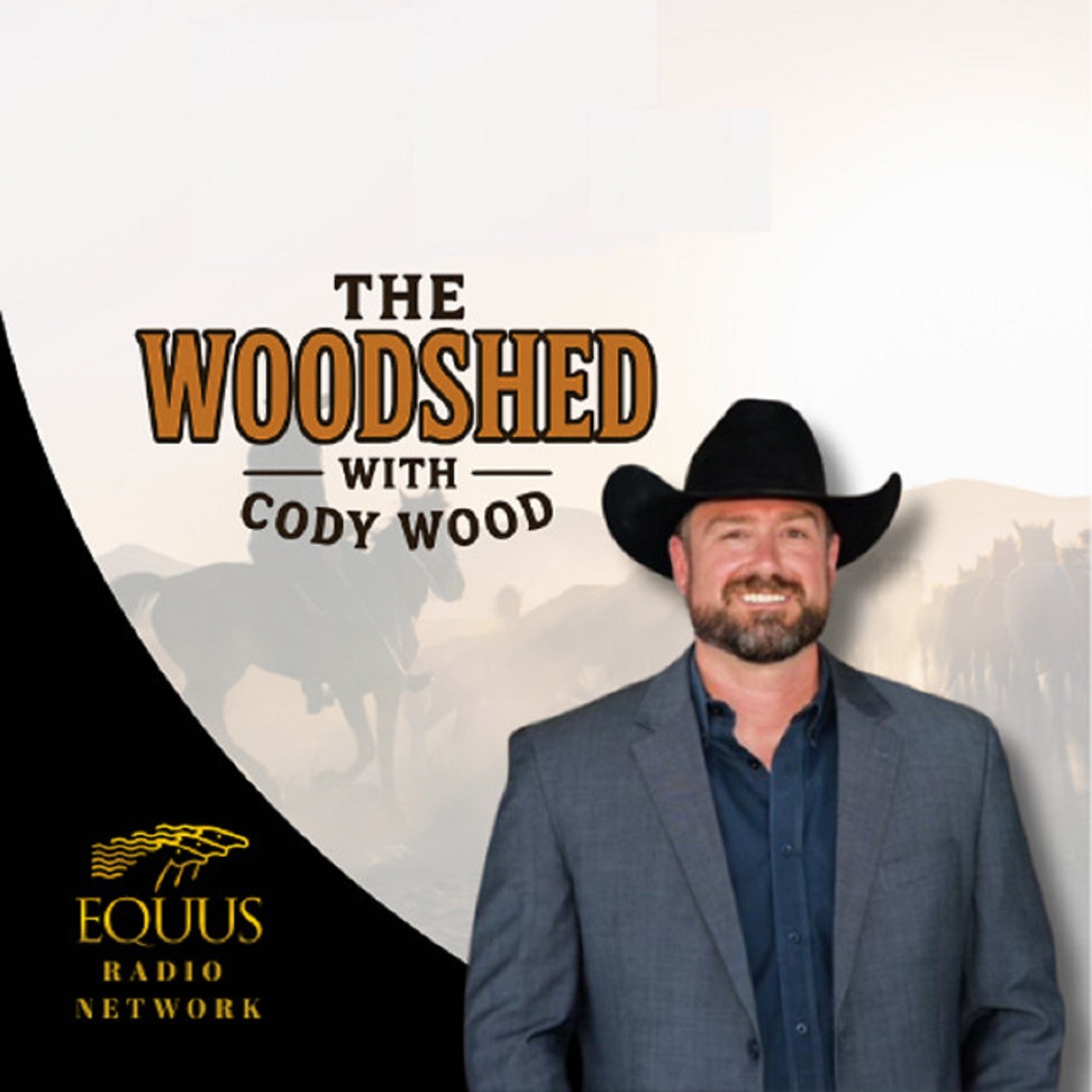 The Woodshed with Cody Wood - Special Guest Danny Seraphine episode artwork