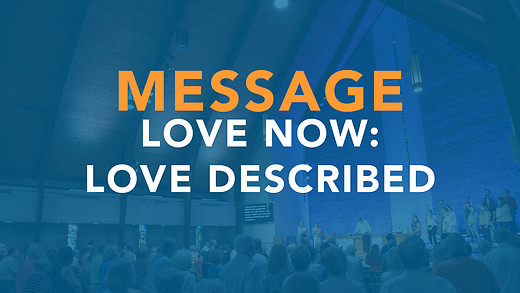 Love Now: Love Described - Chris Montgomery