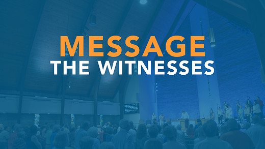 The Witnesses - Mike McAvoy