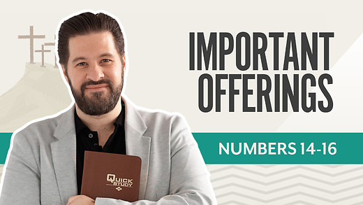 Bible Discovery Numbers 14-16 | Important Offerings – February 17, 2026 episode artwork