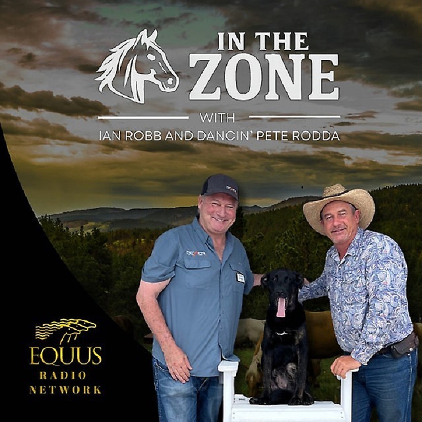 In The Zone with Ian Robb & Dancin' Pete Rodda-Special Guest Havey Manion episode artwork