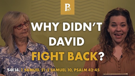 David on the Run: Why Saul Tried to Kill Him | S4E14 episode artwork