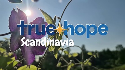 Vinjett lila blomma