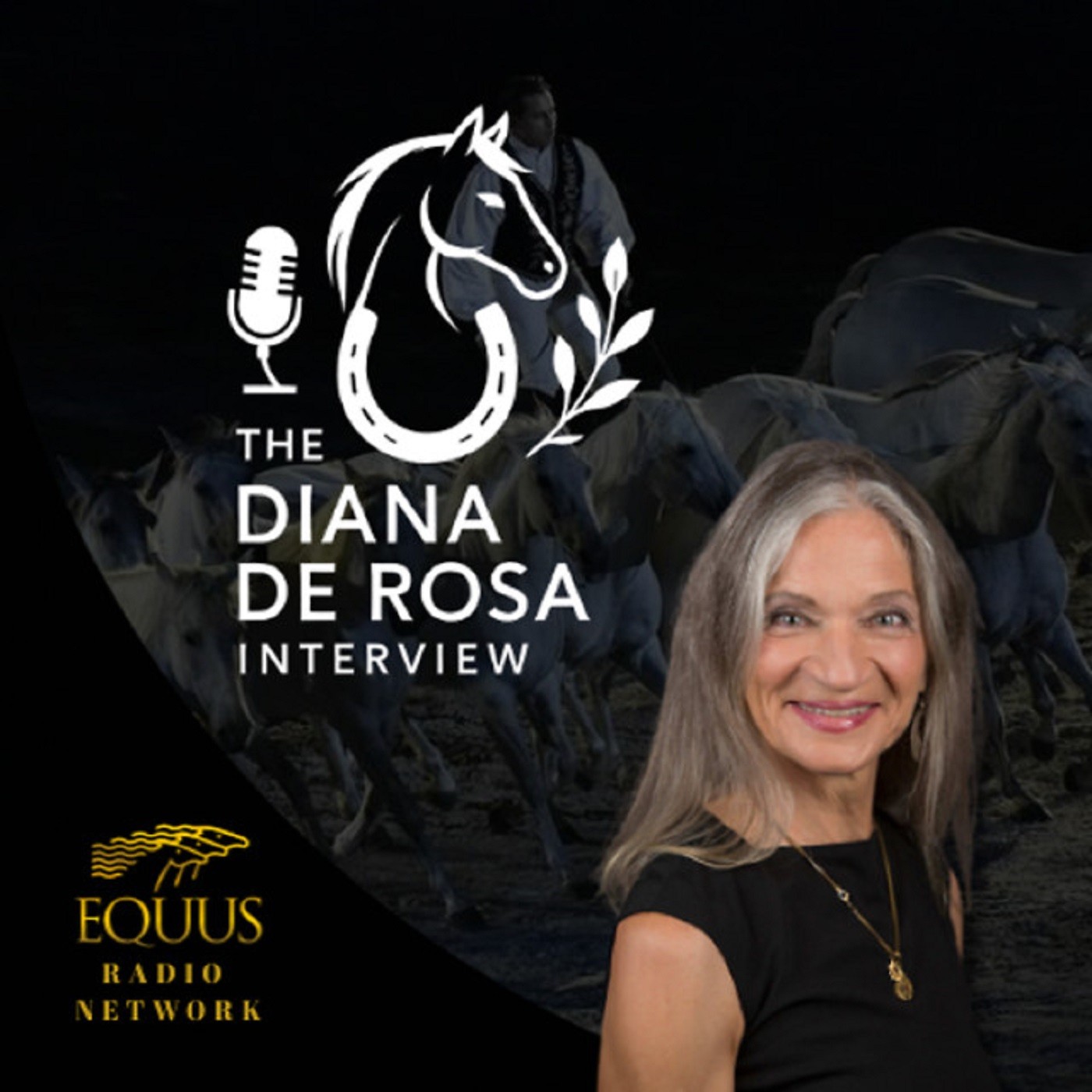 The Diana De Rosa Interview- Special Guest - Birgit Rosenberg - Interview 3 episode artwork