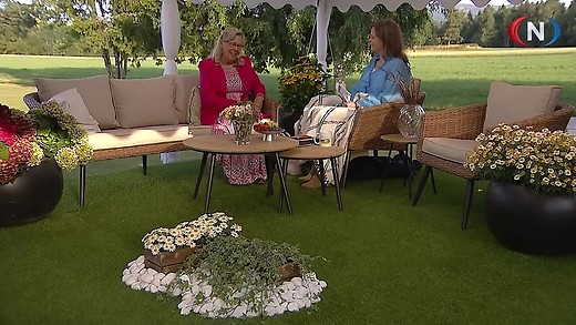 Studio Direkte 19.07.2026 - Sommer på gjestegården episode artwork