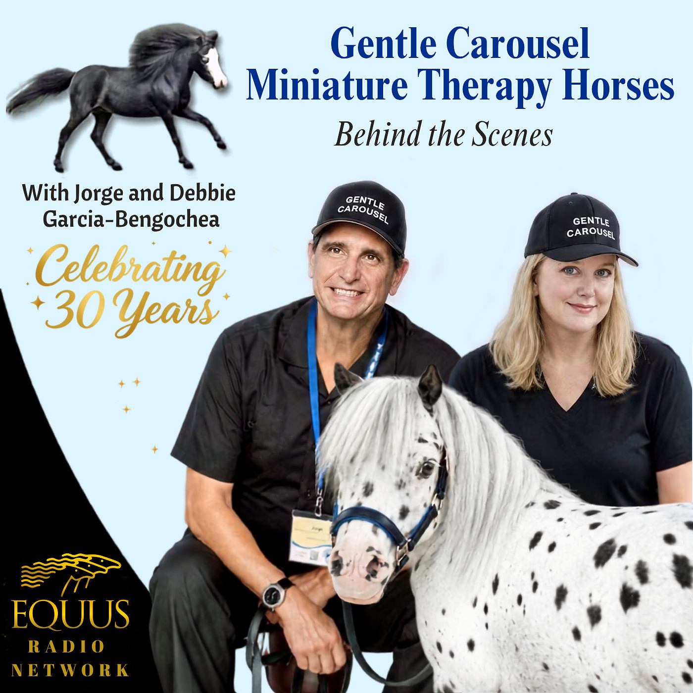 Behind the Scenes with Gentle Carousel Ep 4 - Horse Schedules and Professional Standards" episode artwork